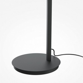 Торшер Maytoni Emphaty MOD363FL-L14B3K в Кунгуре - kungur.mebel24.online | фото 5