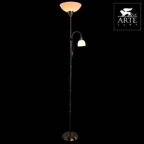 Торшер с подсветкой Arte Lamp Duetto A9569PN-2AB в Кунгуре - kungur.mebel24.online | фото 3