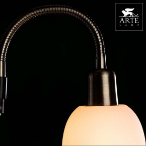 Торшер с подсветкой Arte Lamp Duetto A9569PN-2AB в Кунгуре - kungur.mebel24.online | фото 4
