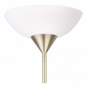 Торшер с подсветкой Arte Lamp Duetto A9569PN-2AB в Кунгуре - kungur.mebel24.online | фото 5