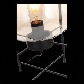 Торшер ST-Luce Burasca SL1050.505.01 в Кунгуре - kungur.mebel24.online | фото 9