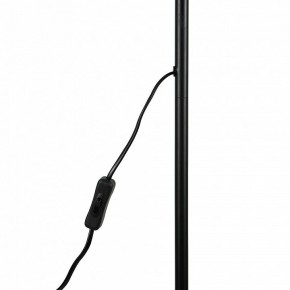 Торшер Uniel UML-T701 UL-00010188 в Кунгуре - kungur.mebel24.online | фото 8