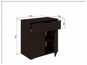Тумба 2Я-03 в Кунгуре - kungur.mebel24.online | фото 3