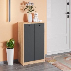 Тумба для обуви Рино в Кунгуре - kungur.mebel24.online | фото 3