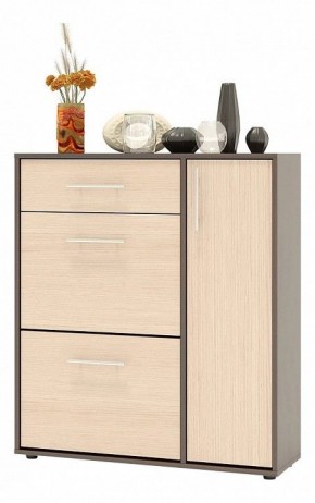 Тумба для обуви ТП-4 в Кунгуре - kungur.mebel24.online | фото