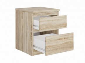 Тумба КАСТОР малая с двумя ящиками, цвет Дуб Сонома в Кунгуре - kungur.mebel24.online | фото 2