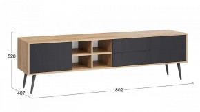 Тумба под ТВ Тип 5 в Кунгуре - kungur.mebel24.online | фото 6