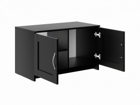 Тумба СИРИУС двухдверная низкая, цвет Дуб Венге в Кунгуре - kungur.mebel24.online | фото 3