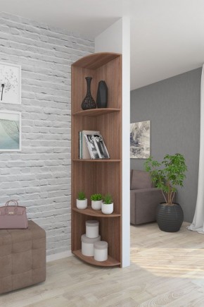 Угловой элемент ЛДСП 1 кат. в Кунгуре - kungur.mebel24.online | фото 8