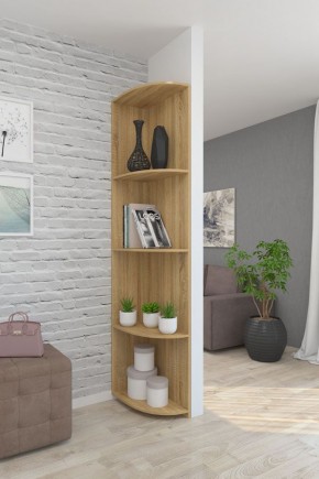 Угловой элемент ЛДСП 2 кат. в Кунгуре - kungur.mebel24.online | фото 7