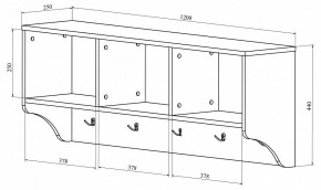 Вешалка-полка ДримСтар ДС-30 в Кунгуре - kungur.mebel24.online | фото 3