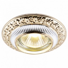 Встраиваемый светильник Arte Lamp Occhio A5280PL-1SG в Кунгуре - kungur.mebel24.online | фото
