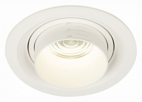 Встраиваемый светильник ST-Luce Zoom ST701.548.12 в Кунгуре - kungur.mebel24.online | фото 2